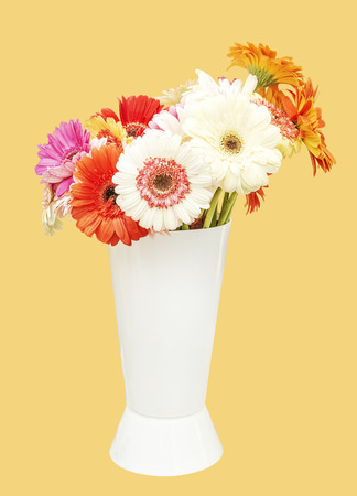 bouquet of gerberas in a white vase isolated on orange backgroundの写真素材