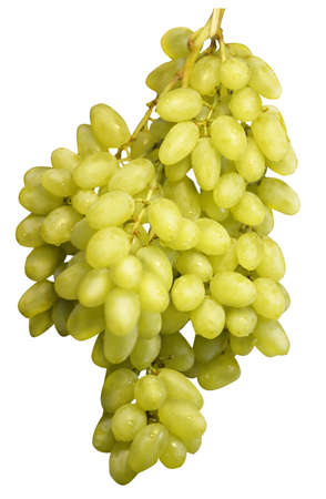light bunch of big grapes vertical photo close-upの写真素材