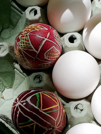 painted Easter eggs in Ukrainian style and a white egg in a trayの写真素材