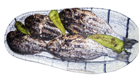 grilled spicy fish - Dorada, isolated on white backgroundの写真素材