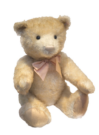 beige teddy bearの写真素材