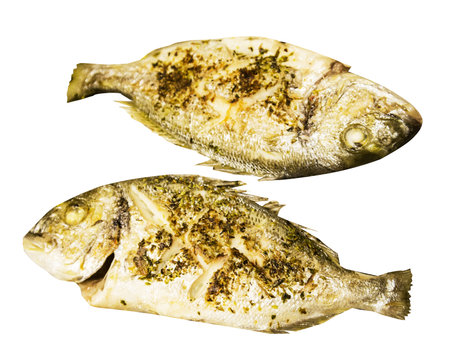 two grilled dorado fish isolatedの写真素材