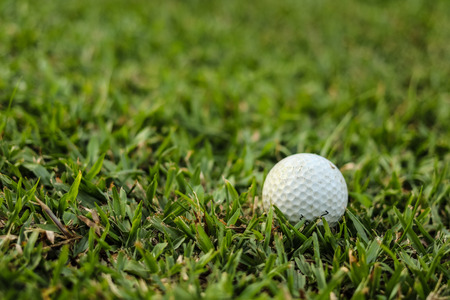Golf balls on the green grass.の写真素材