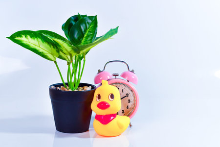 Mother duck and ducklings. Duck mother animal and family duckling.the Happines family.の写真素材