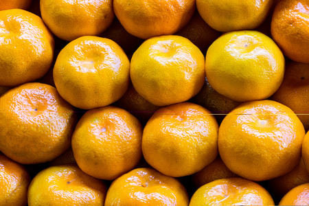 Fresh and juicy mandarins in the marketの写真素材