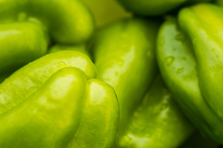 Closeup shoot of the washed green papricas in the bowl ready for cookingの写真素材