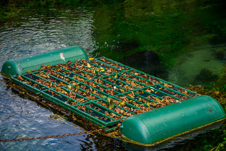 The ironic fishtrap in the water covered by leaves  in the autumnの写真素材