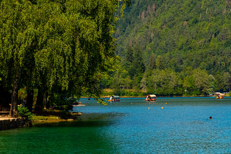 Tourist enjoying the Blade lake and Boats going to Church island