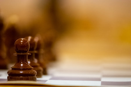 The Chess pieces on the board ready for play