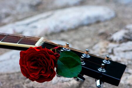 Acoustic guitar headstock decorated by red roseの写真素材