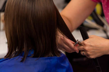 Professional female hairdresser cutting girl's brown hair in salon, closeupの写真素材