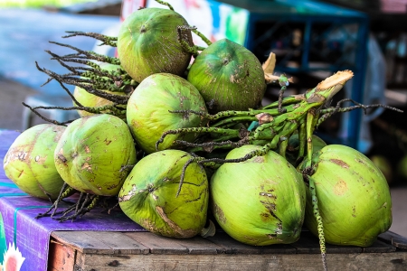 Coconut tree and green fruitの写真素材
