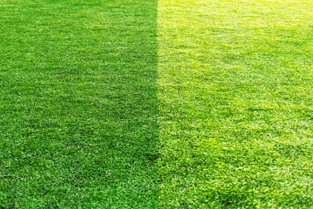 Is softer green grass and beautiful の写真素材