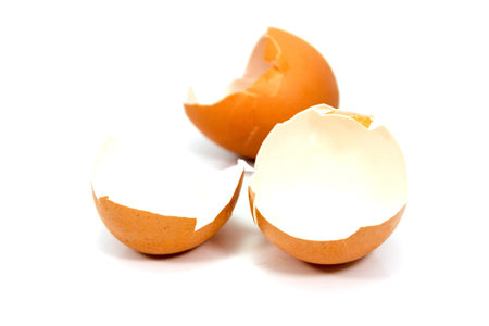 Eggshell isolated on white background 