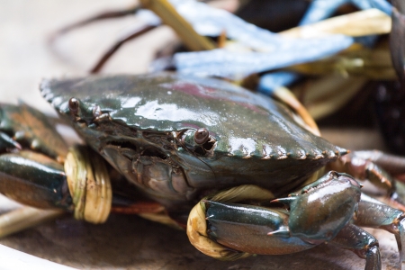 Crab fishermen were captured for sale の写真素材