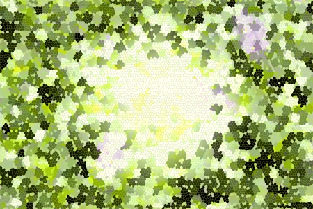 Shooting leaves for natural gradient  backgroundの写真素材