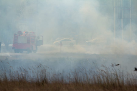 The fire department extinguished the fire by the roadside pasture in the afternoon 