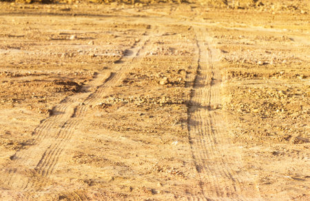Dry Grass 