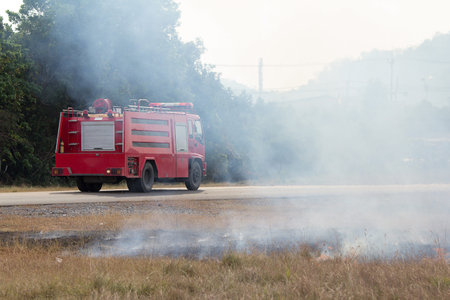 The fire department extinguished the fire  Meadow beside the road in the afternoon 