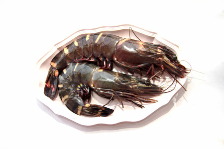  Fresh Shrimp On the plate の写真素材