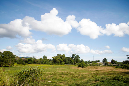 White clouds in a blue sky. Sky background