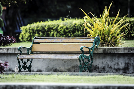 The bench was placed in the park.の写真素材