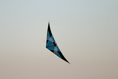 Kites in the sky During the afternoon of the summer.の写真素材