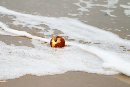 Apple rotten on the beachの写真素材