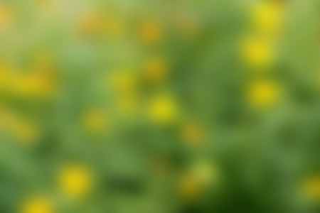 Blurry background white and green color.の写真素材