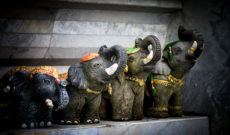 Vintage elephant head stucco background.の写真素材