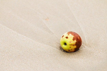 Apple rotten on the beachの写真素材