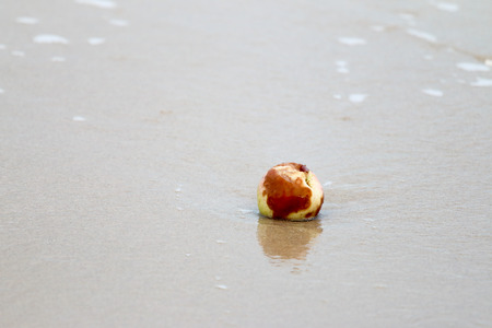 Apple rotten on the beachの写真素材