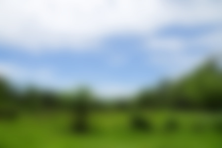 blurred field of grass background.の写真素材