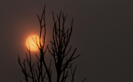 The sun is blocked by smoke from Indonesia. Which is visible in Thailandの写真素材