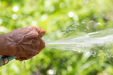 Working watering garden from hoseの写真素材