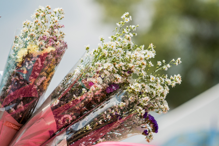 Bouquet of flowers in nature background.の写真素材