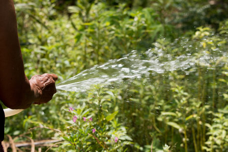 Working watering garden from hose