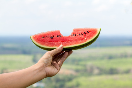 watermelon slices on hand background.の写真素材