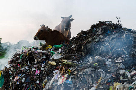 environment degradationの写真素材