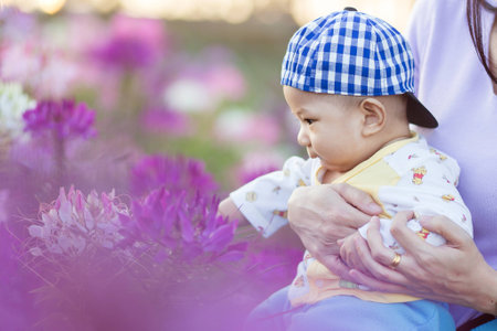 baby boy in a field of flowersの写真素材