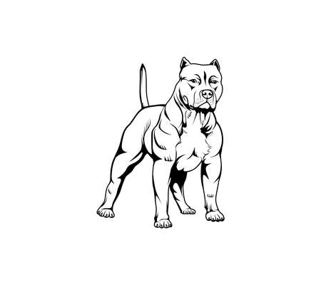 American Bully Dog line art vector illustrationのイラスト素材
