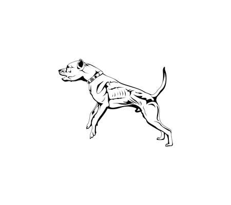 Pitbull dog - vector illustrationのイラスト素材