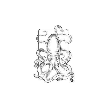 Vector Sketch Octopus. black and white Illustration.のイラスト素材