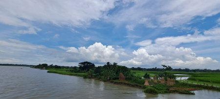 Panoramic view of the rice field on the Mekong River in Vietnamの写真素材
