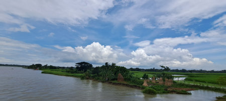 Panoramic view of the river and rice fields in the countrysideの写真素材