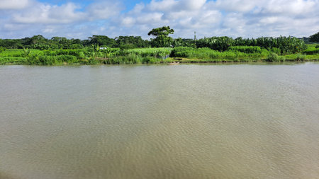 Beautiful landscape view of the river in the countryside of Mauritius.の写真素材