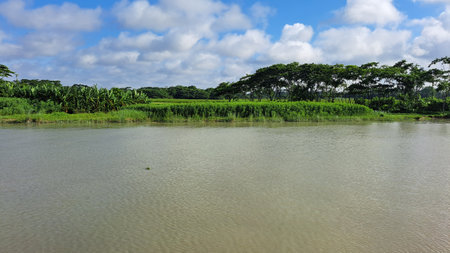 Landscape view of river and forest under cloudy blue sky in summerの写真素材
