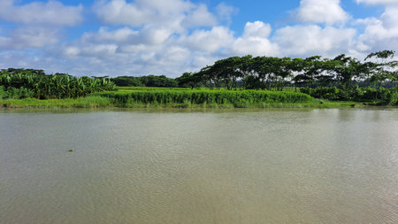 The river in the rainforest on the island of Mauritius.の写真素材