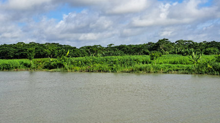 Tropical landscape with river, forest and cloudy blue sky.の写真素材