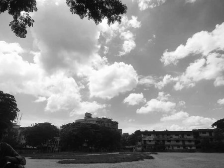 Black and white photo of the sky with clouds and trees in the city.の写真素材